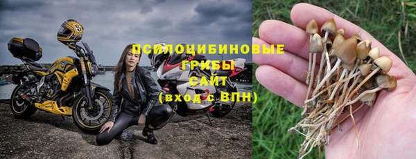 ECSTASY Горнозаводск
