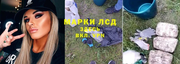 mdpv Горняк