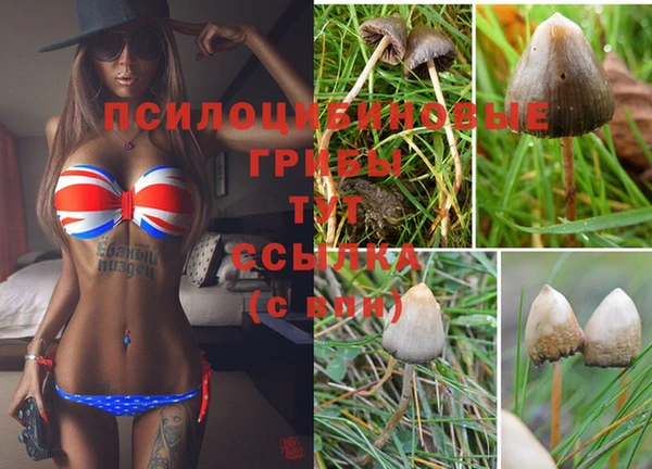 mdpv Горняк