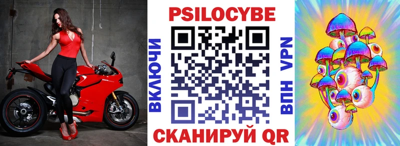 Купить где  Навашино  Галлюциногенные грибы Cubensis 